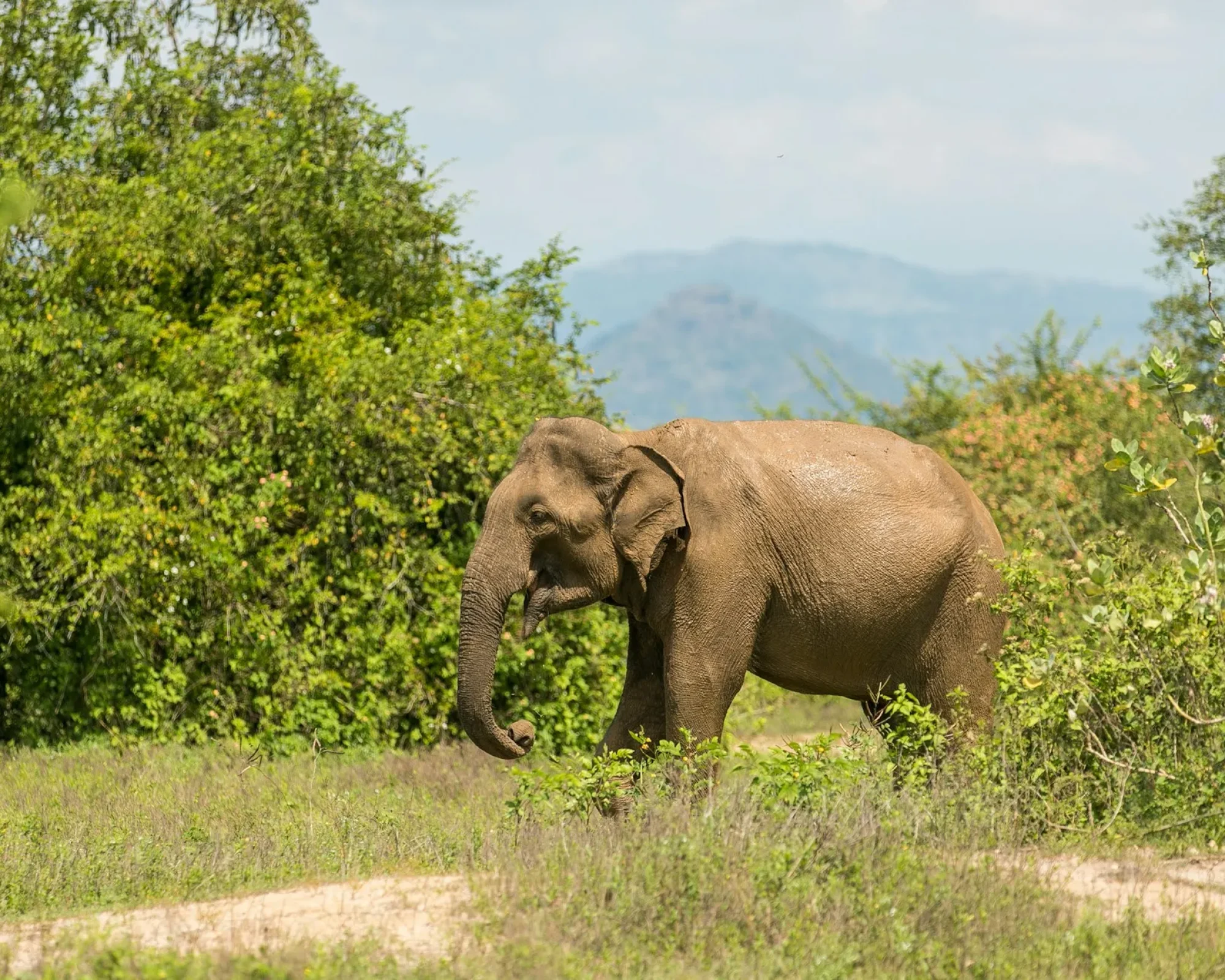 egle-sidaraviciute-VngBwhpr_wQ-unsplash