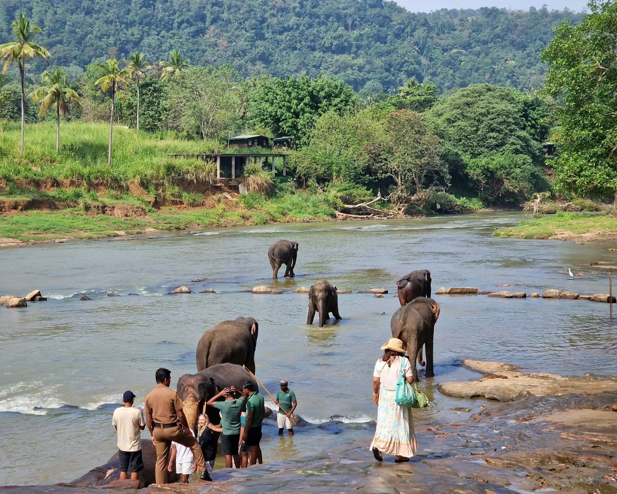 mahesh-herath-gk_Pj8xfQd0-unsplash