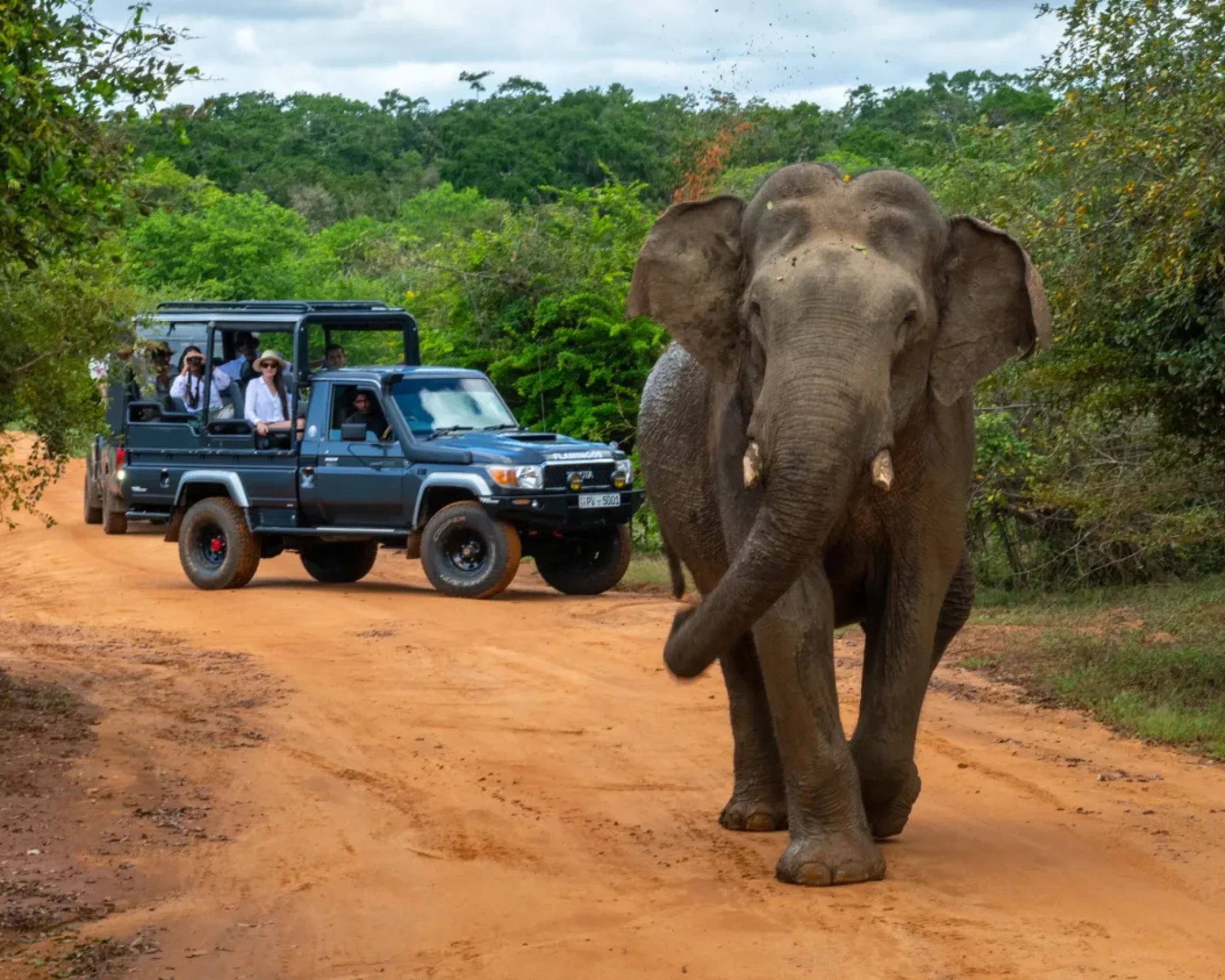 _methode_times_prod_web_bin_50e9e8f5-f1ca-4a08-9b7f-18b15c011582