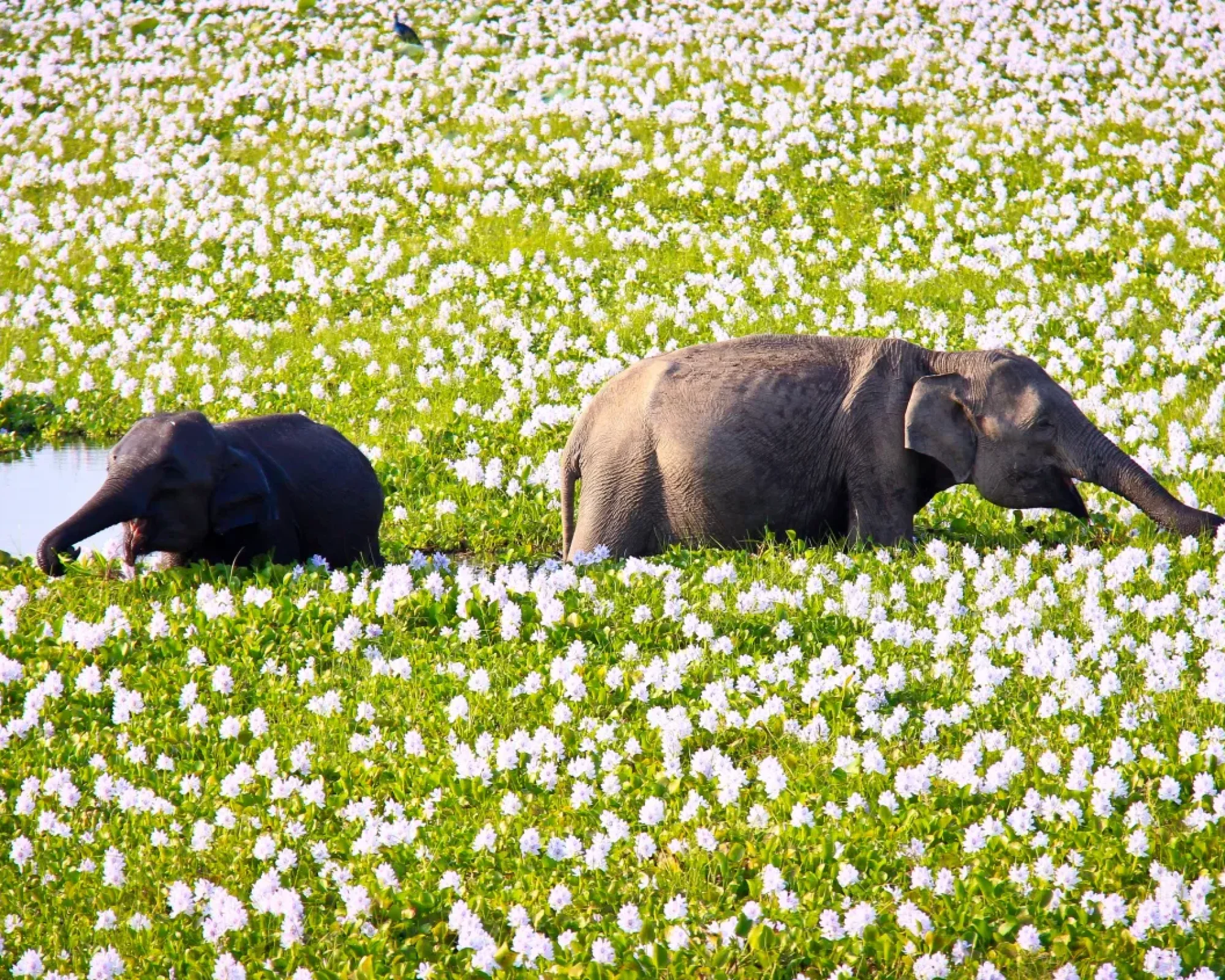 _methode_times_prod_web_bin_6195fdf2-9401-4552-9376-dd35aae6ab6c