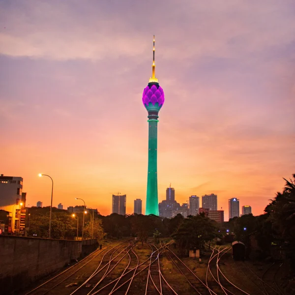 pexels-chathura-anuradha-subasinghe-599124-12781425