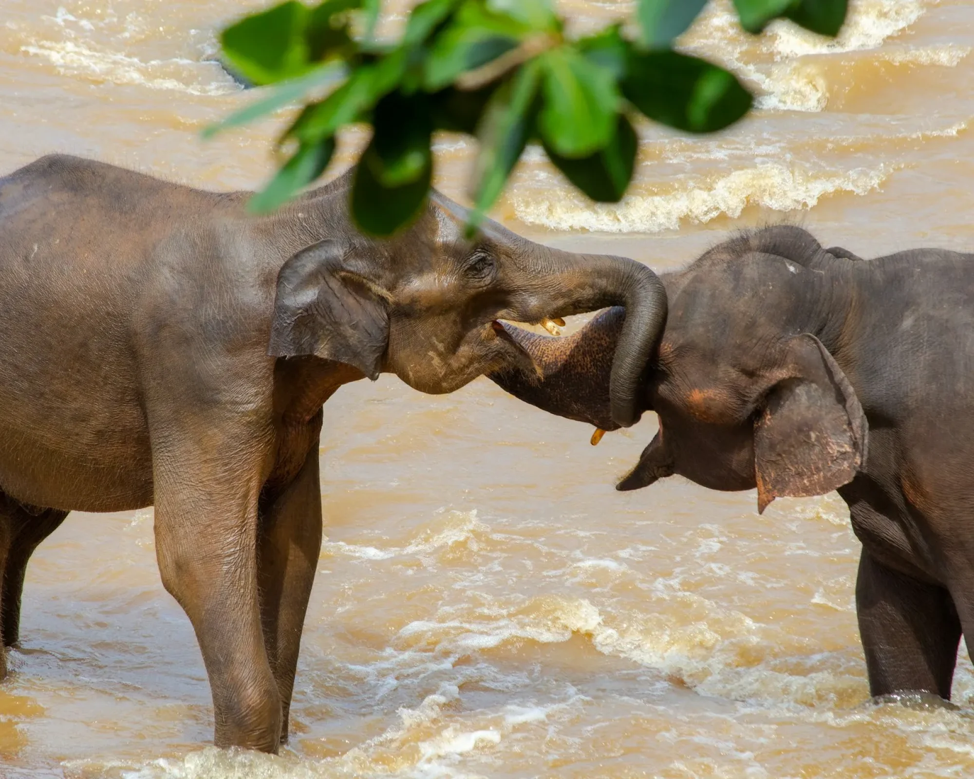 shashank-hudkar-oKNkrKfJ5TQ-unsplash